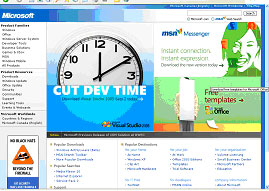 Microsoft Best of the Web 2005 3