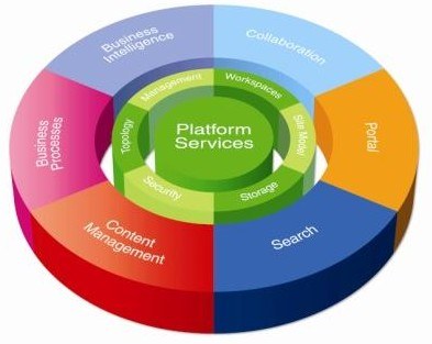 SharePoint Platform Visual Representation