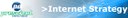 Internet Strategy